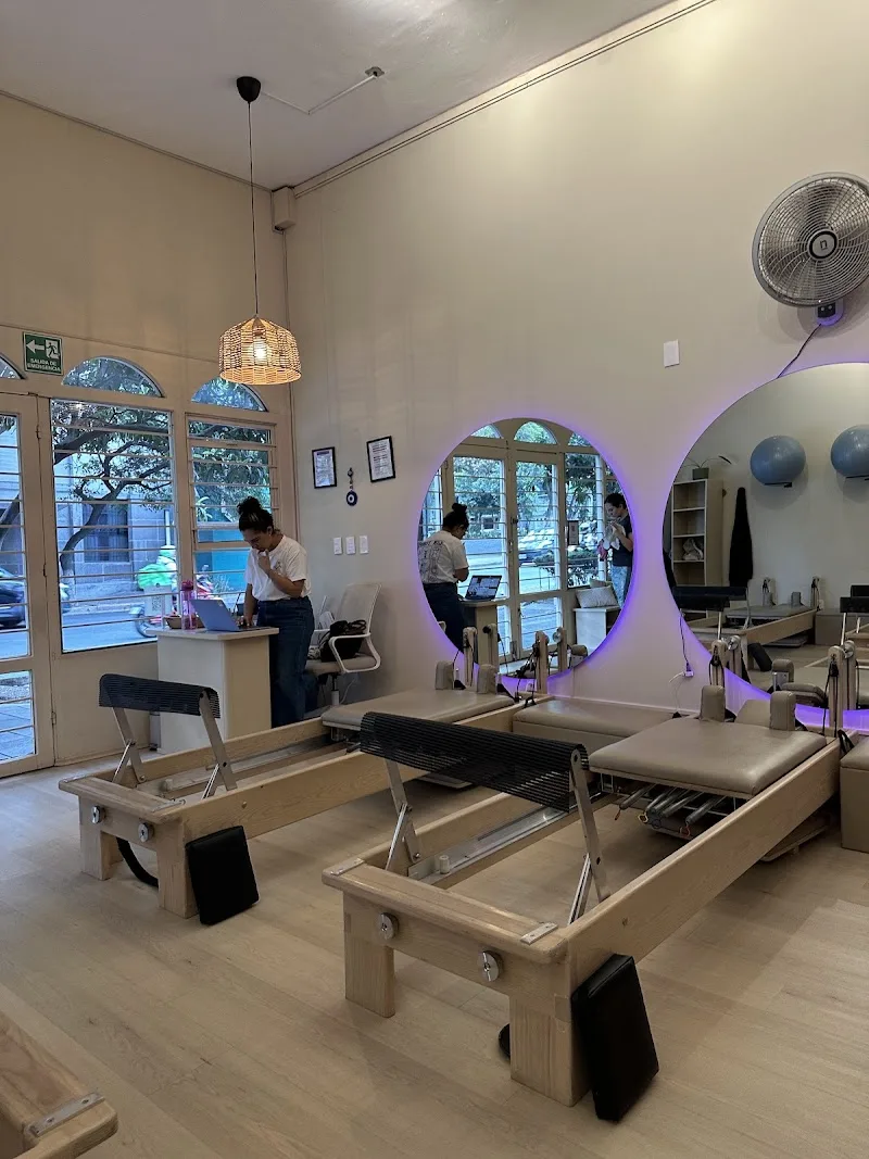 The Balance Nation Pilates Reformer (Gabriel Mancera 422)