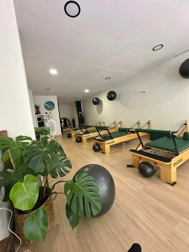 Mudra Pilates Reformer